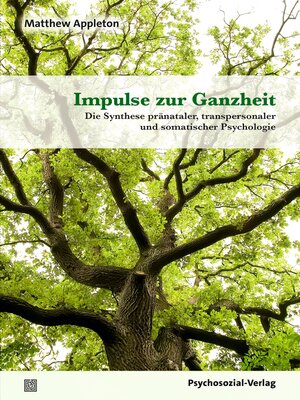 cover image of Impulse zur Ganzheit